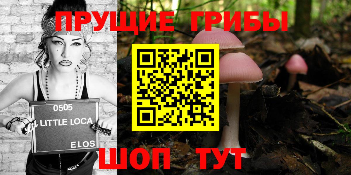 Алексеевка  Псилоцибиновые грибы Psilocybine cubensis  Галлюциногенные грибы Psilocybine cubensis  Вход с VPN 