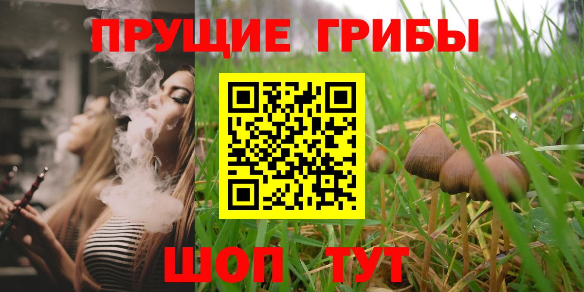 Галлюциногенные грибы мухоморы Алексеевка